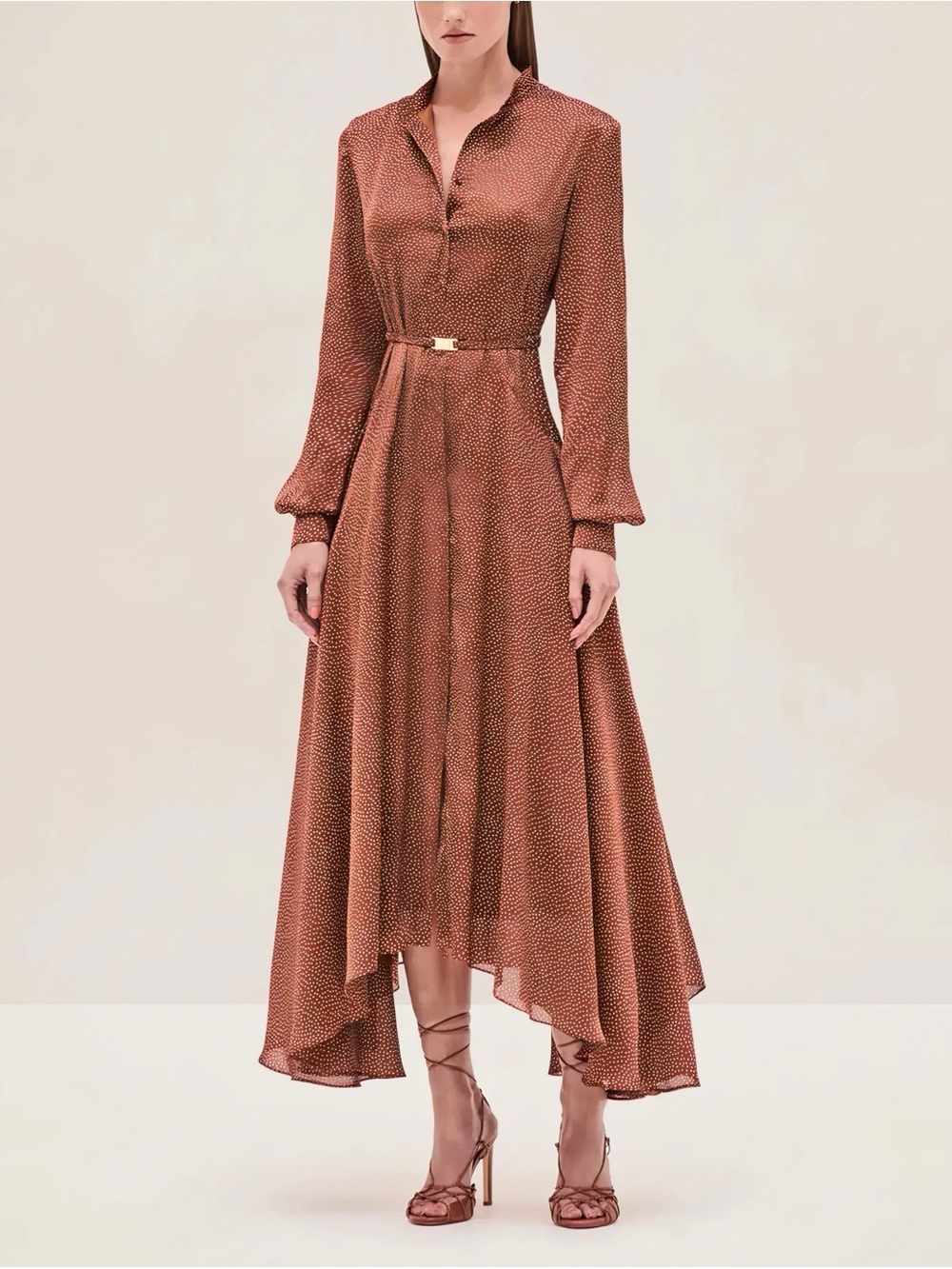 NWT ALEXIS Maxi Long-Sleeve Brown Polka-Dot Monico Dress - Picture 3 of 6